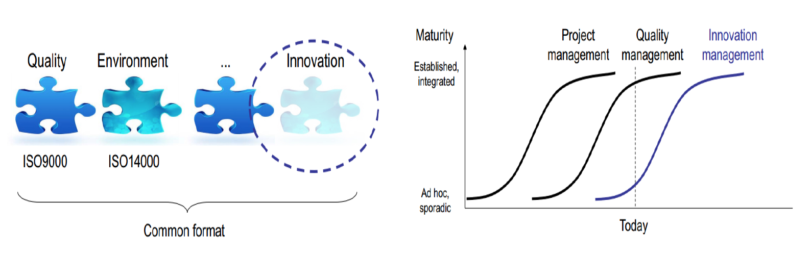 Innovation Leads To Dematurity Of Mature Industries